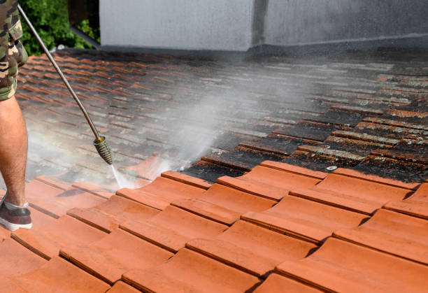 Best Best Pressure Washing Companies  in Rotonda, FL