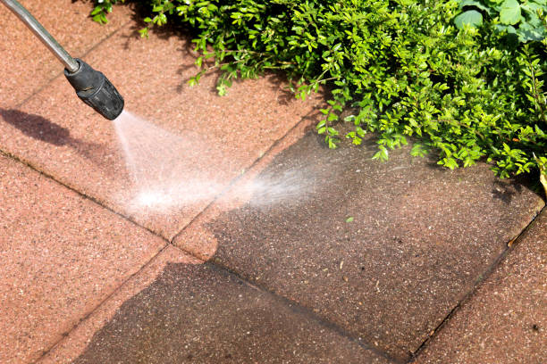 Best Roof Pressure Washing  in Rotonda, FL